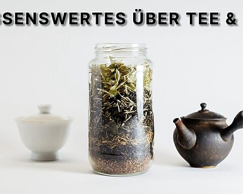 Wissenswertes über Tee & FAQ